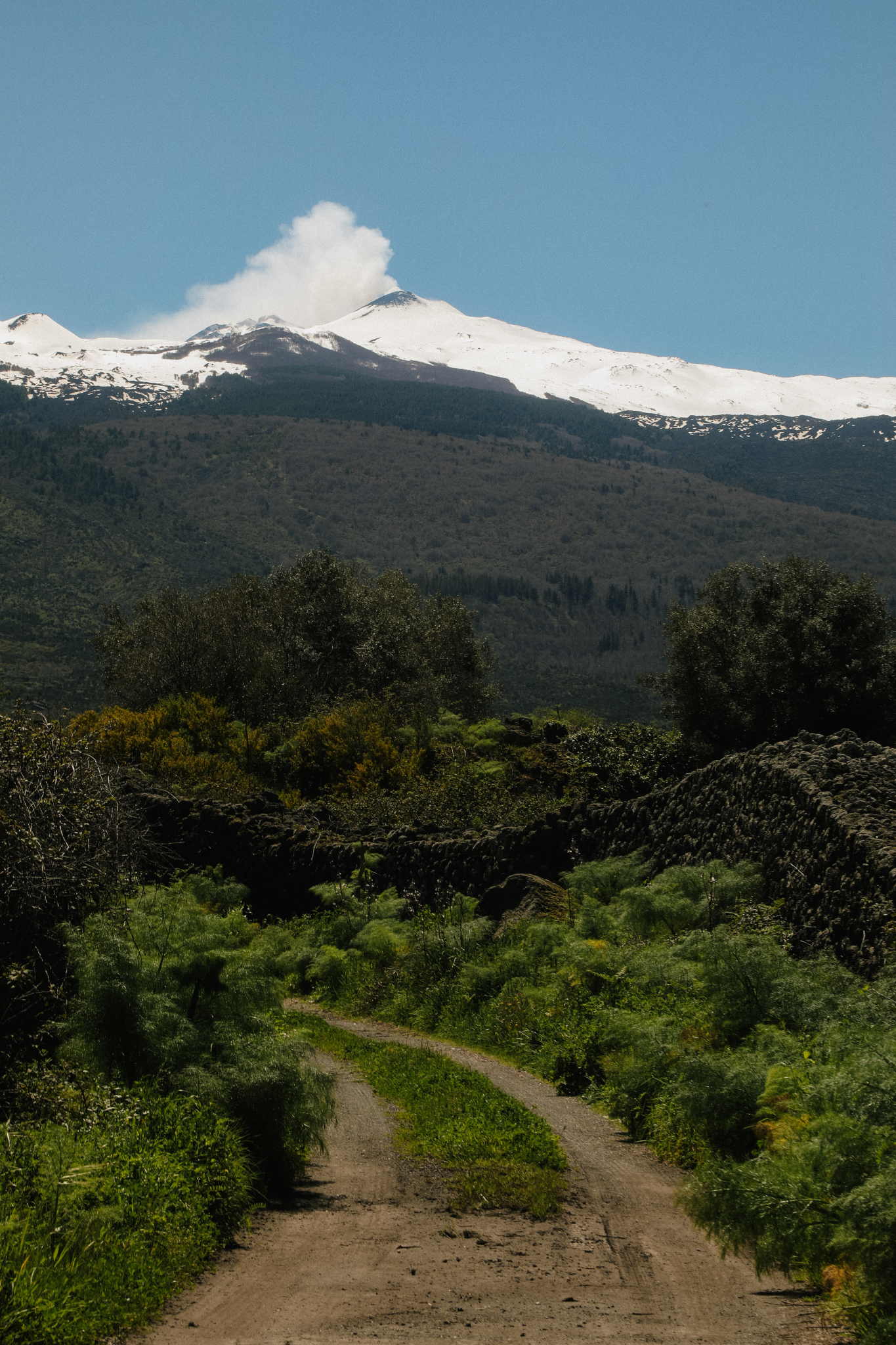 A narrow track through green volcanic land leading toward snow-capped Mount Etna